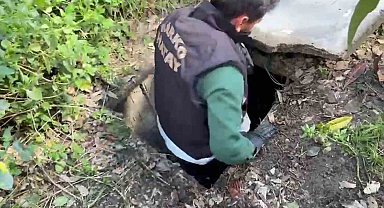 Sığınakta kurduğu sistemle kenevir yetiştirdi