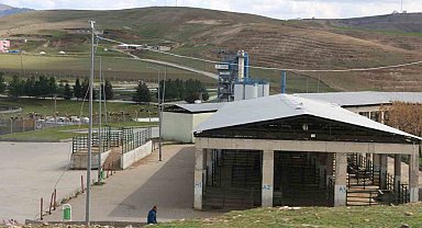 Siirt'te şap vakası yüzünden hayvan kesimi durduruldu