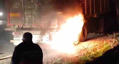 Siirt'te seyir halindeki kamyon alev aldı