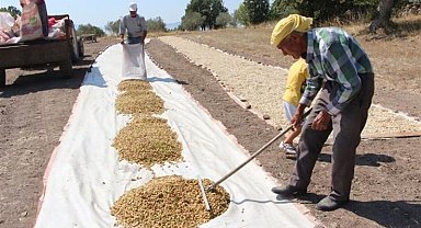 Siirt'te tarımsal destekleme tutarı 201 milyon liraya ulaştı