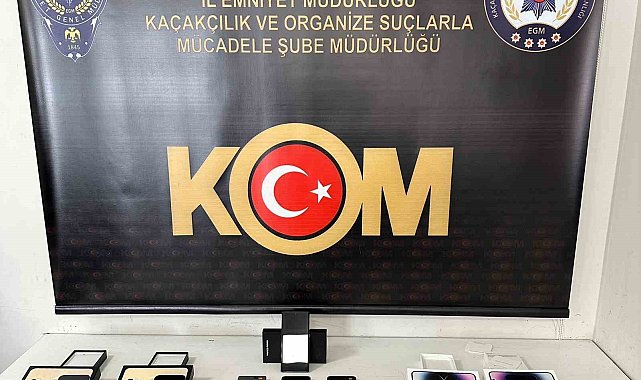 Şırnak'ta asayiş ve kaçakçılık operasyonu: 49 gözaltı