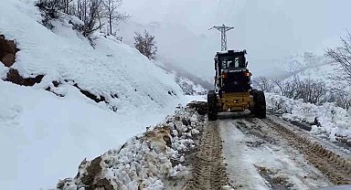 Şırnak'ta kar yağışı hayatı olumsuz etkiledi