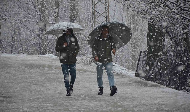 Şırnak'ta lapa lapa kar yağmaya başladı