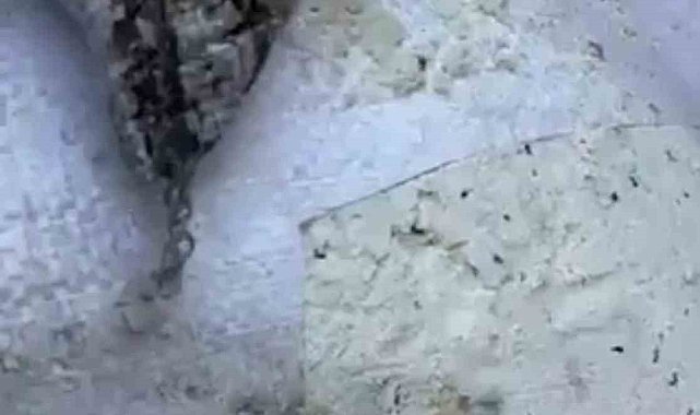 Skandal görüntülerin sahibi Oba Makarna'dan açıklama