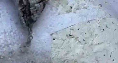 Skandal görüntülerin sahibi Oba Makarna'dan açıklama