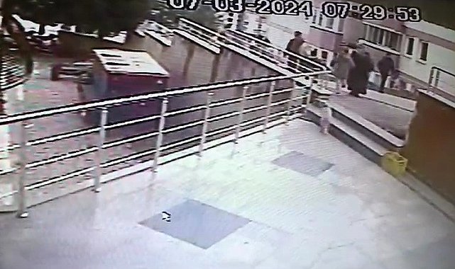 Sokak kedilerine çarpan sürücülere 14 bin 432 lira ceza