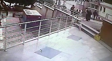 Sokak kedilerine çarpan sürücülere 14 bin 432 lira ceza