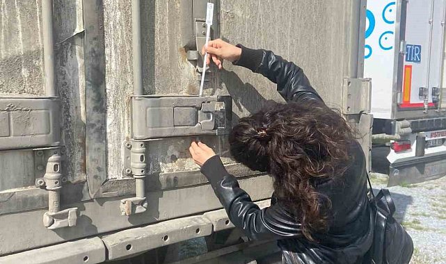 Söke'nin balıkları, İtalya yolcusu