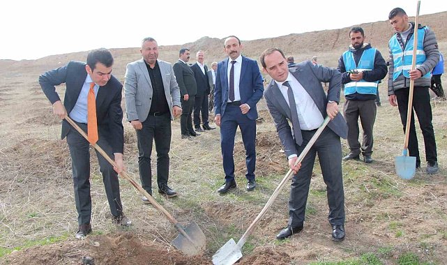 Sungurlu'da 500 fidan toprakla buluştu