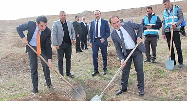 Sungurlu'da 500 fidan toprakla buluştu