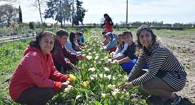 Tarım Lisesi öğrencileri ilk defa kesme çiçek yetiştirdi