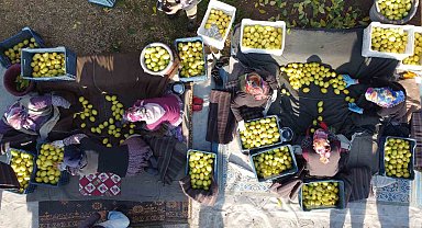 Tarımda üretici enflasyonu şubatta yüzde 58,29 oldu