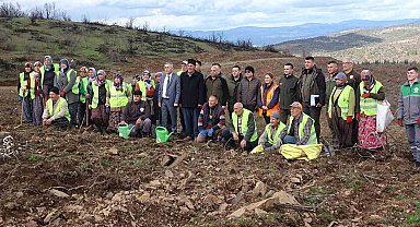 Tavşanlı'da yanan ormanlık alanlar tekrar ağaçlandırılıyor