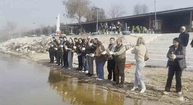 Tedavisi tamamlanan ördekler doğaya salındı
