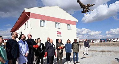 Tedavisi tamamlanan yırtıcı kuşlar doğaya salındı