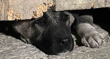 Tekstil atölyesinde çıkan yangını söndürme çalışmaları sürüyor