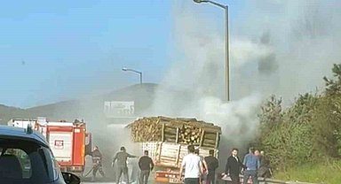 TEM'de ağaç yüklü tır alevlere teslim oldu