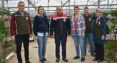 Topraksız tarımsal üretim yapan serada incelemelerde bulunuldu