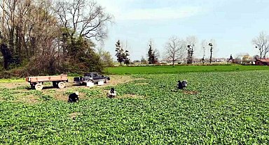 TR83 Bölgesi'nde istihdam azaldı, işsizlik arttı