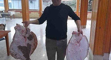 Türkeli'de 10 kilogramlık kalkan balığı yakalandı
