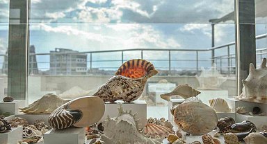 Türkiye'de bir ilk olan 'Müze Belediye' açılıyor