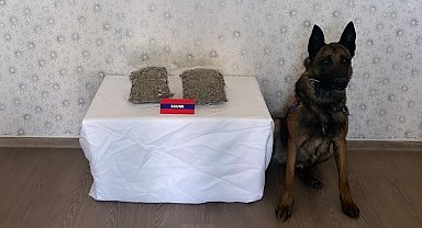 Uyuşturucu ile yolcu otobüsüne bindi, jandarma enseledi