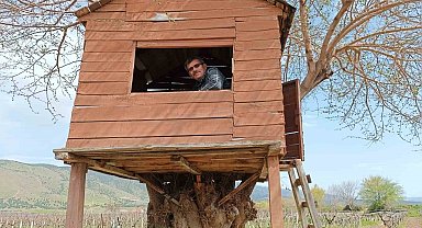 Üzüm bağındaki ağaç kondu ev ilgi odağı oldu