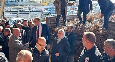 Üzümlü'de 12 bin adet kayısı fidanı çiftçilere dağıtıldı
