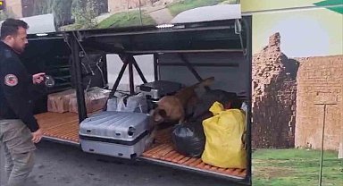 Valizden 21 kilo esrar çıktı