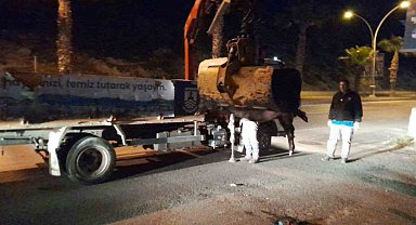 Yaban domuzu ortalığı savaş alanına çevirdi, 3 araç birbirine girdi: 2 yaralı