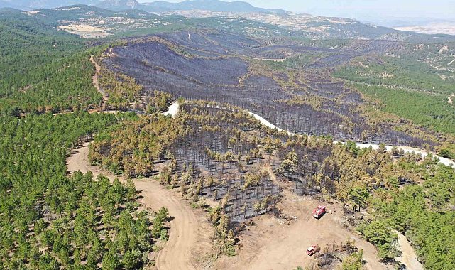 Yanan 288 hektar alan 745 bin fidan ve 700 kilo tohumla yeniden ağaçlandırıldı