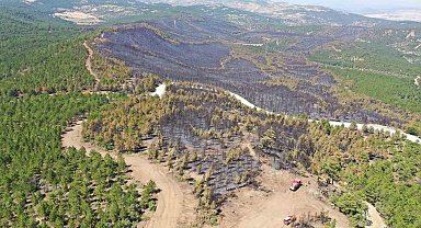 Yanan 288 hektar alan 745 bin fidan ve 700 kilo tohumla yeniden ağaçlandırıldı