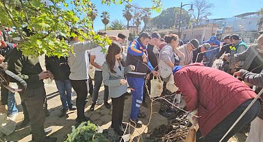 Yenipazar'da 2 bin 500 fidan dağıtıldı