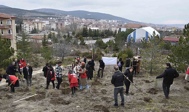 Yozgat'ta 300 fidan, depremde hayatını kaybeden kadınlar anısına toprakla buluştu