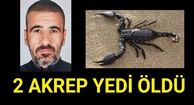 2 Adet Akrep Yedi, Öldü