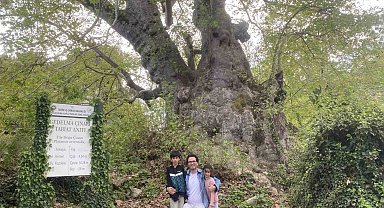2 bin 700 yıllık çınar ziyaretçilerini bekliyor
