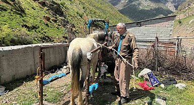 20 yıldır nalbantlık yapan usta, at ve katırların ayak bakımlarını yapıyor