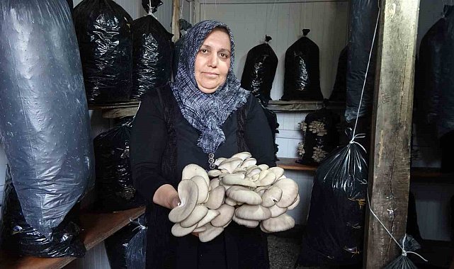 'Bebek gibi bakımlarını yapıyorum' diyen kadın 5 metrekare alanda mantar üretiyor