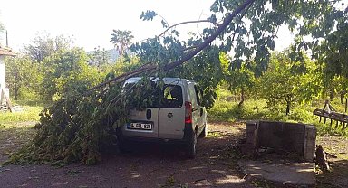 45 dakika yağdı, ağaçlar devrildi, çatı uçtu