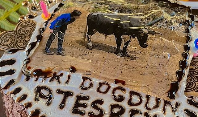 700 kilogramlık boğasının doğum gününü kutladı