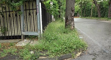 Adalar'da çöplerden ve otlardan geçilmiyor