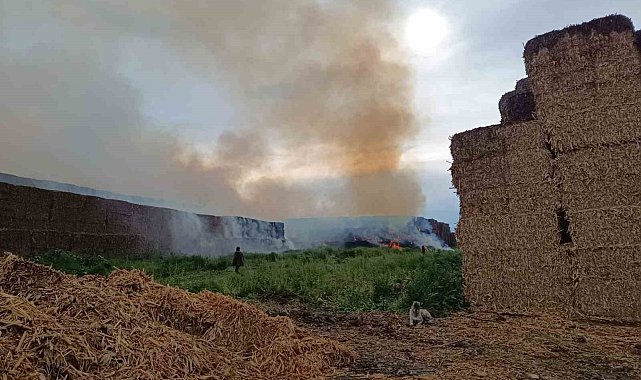 Adana'da saman balyalarının bulunduğu alanda yangın çıktı