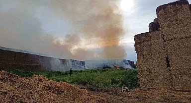 Adana'da saman balyalarının bulunduğu alanda yangın çıktı