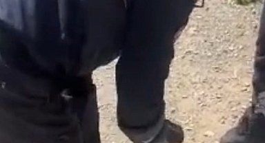 Adana'da yılan paniği