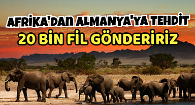 Afrika Almanya'yı Tehdit Etti 20 Bin Fil Göndeririz