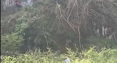 Ağaç keserken uçuruma yuvarlandı