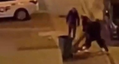 Ağacı söken 4 kişiye ceza