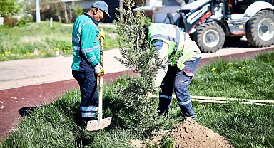 Aksaray'da ağaç dikme seferberliği başlatıldı