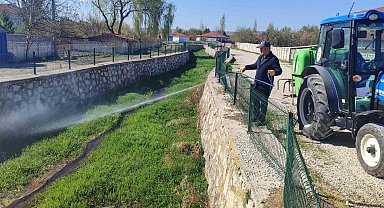 Alaca Belediyesi'nden haşere ile mücadele