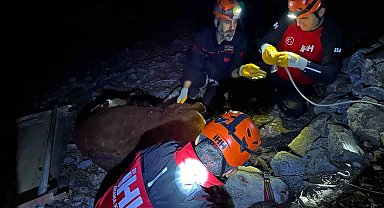 Alanya'da kamyondan düşen dana 400 metrelik uçurumdan kurtarıldı